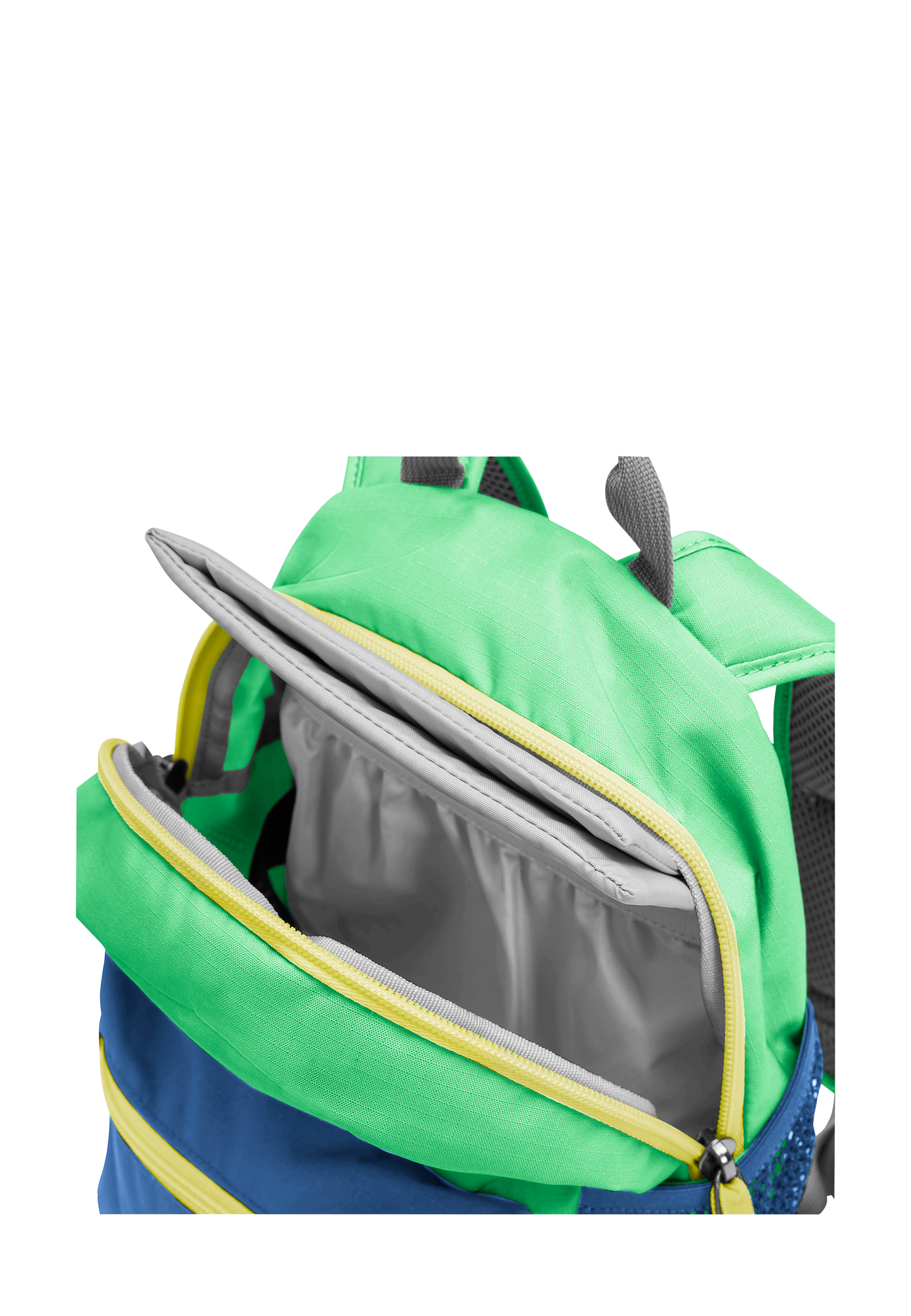 LITTLE SCOUT 10