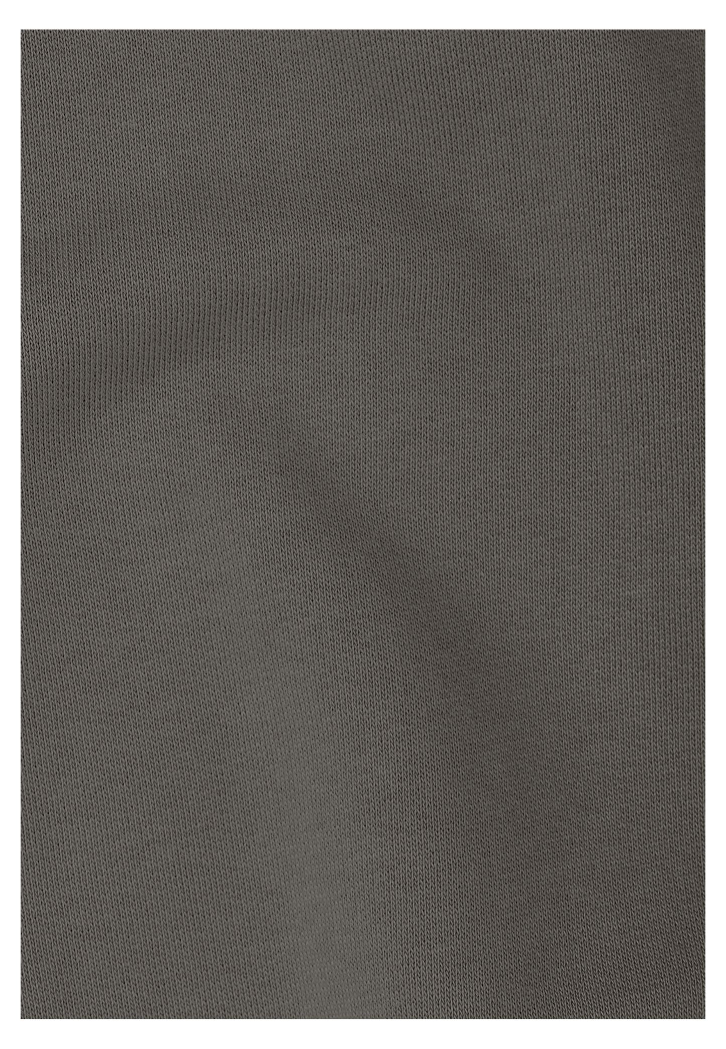 CELEBRATE THE PAW HOODY M