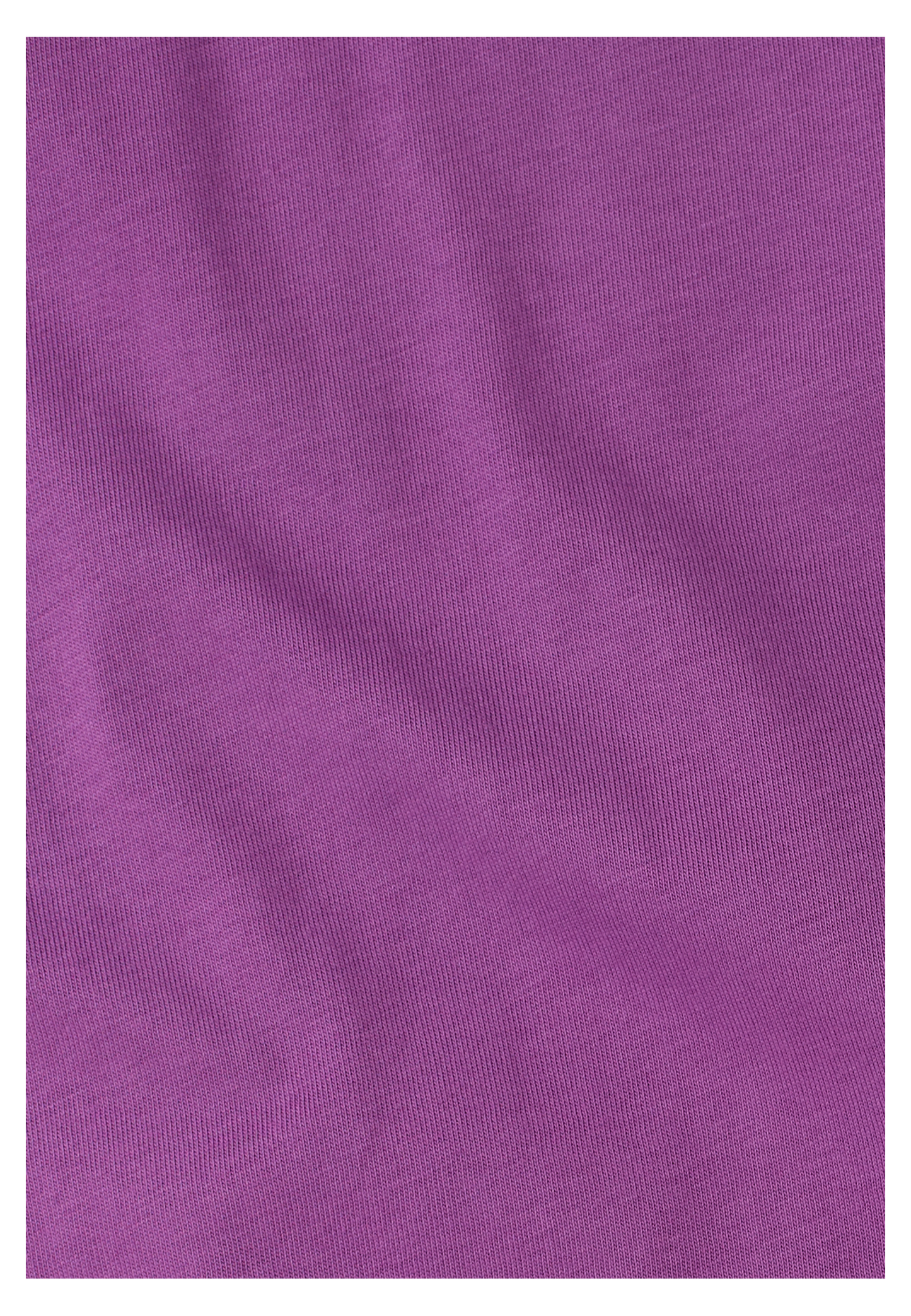 CELEBRATE THE PAW ORIGINAL T M