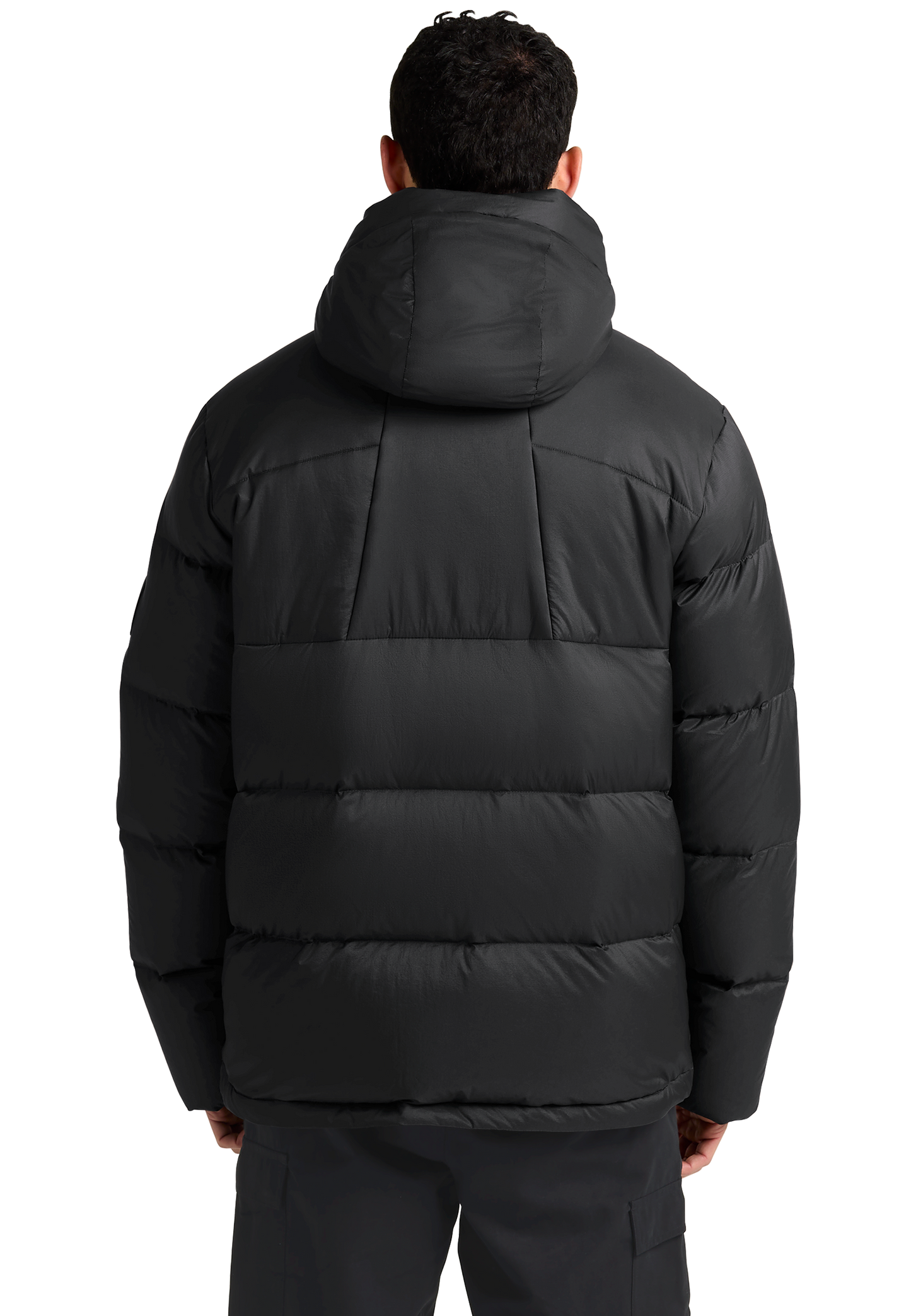 ICY HILL JKT M RDS