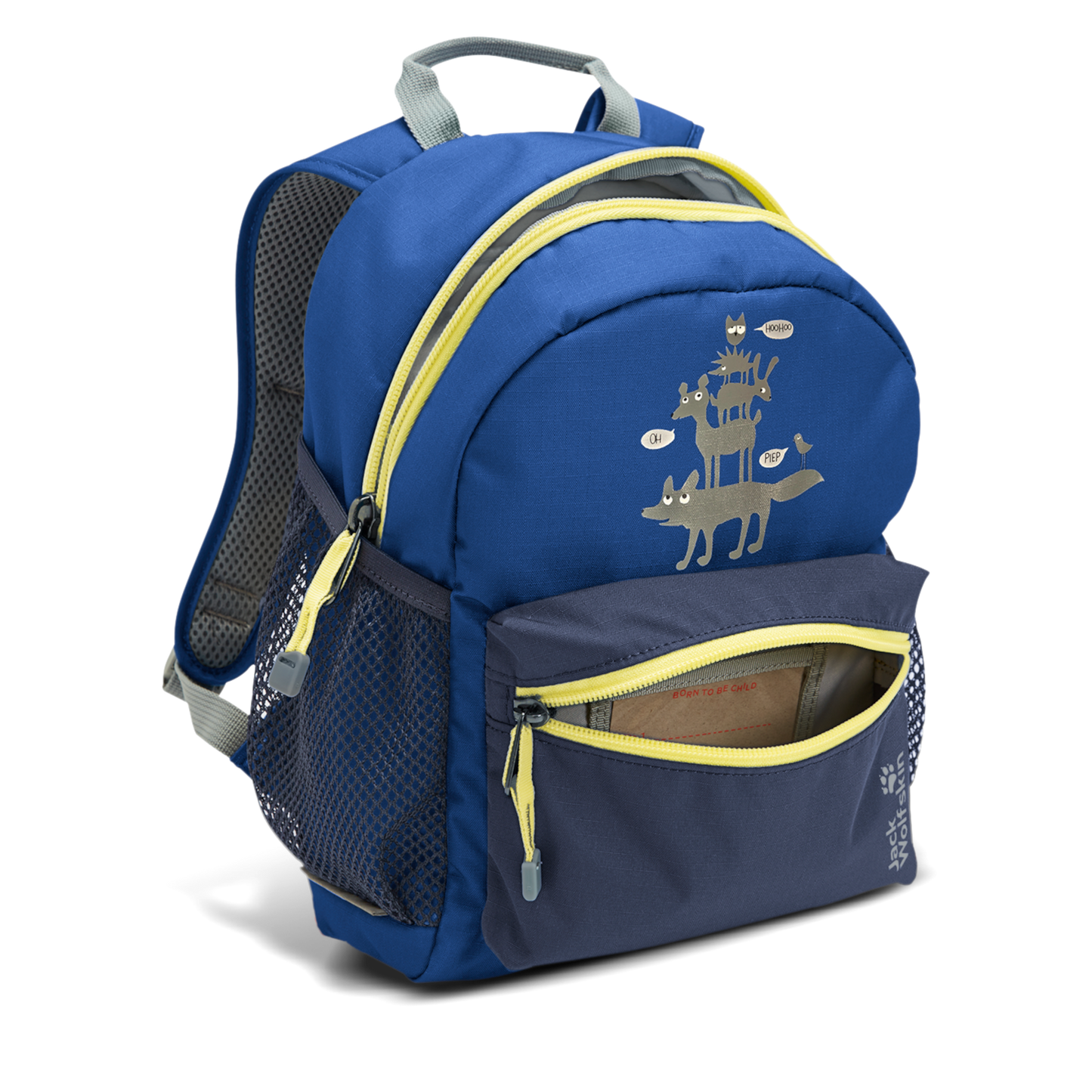 LITTLE SCOUT 10