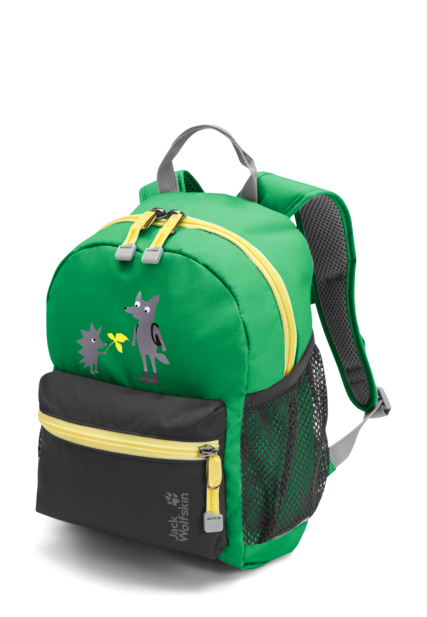 LITTLE SCOUT 10