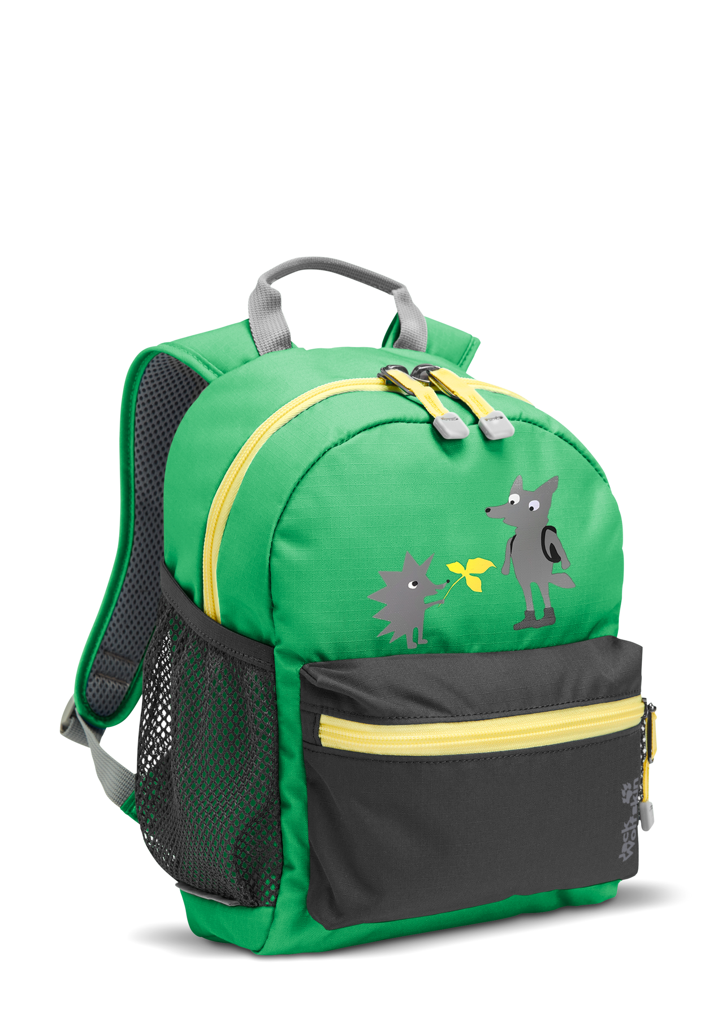 LITTLE SCOUT 10