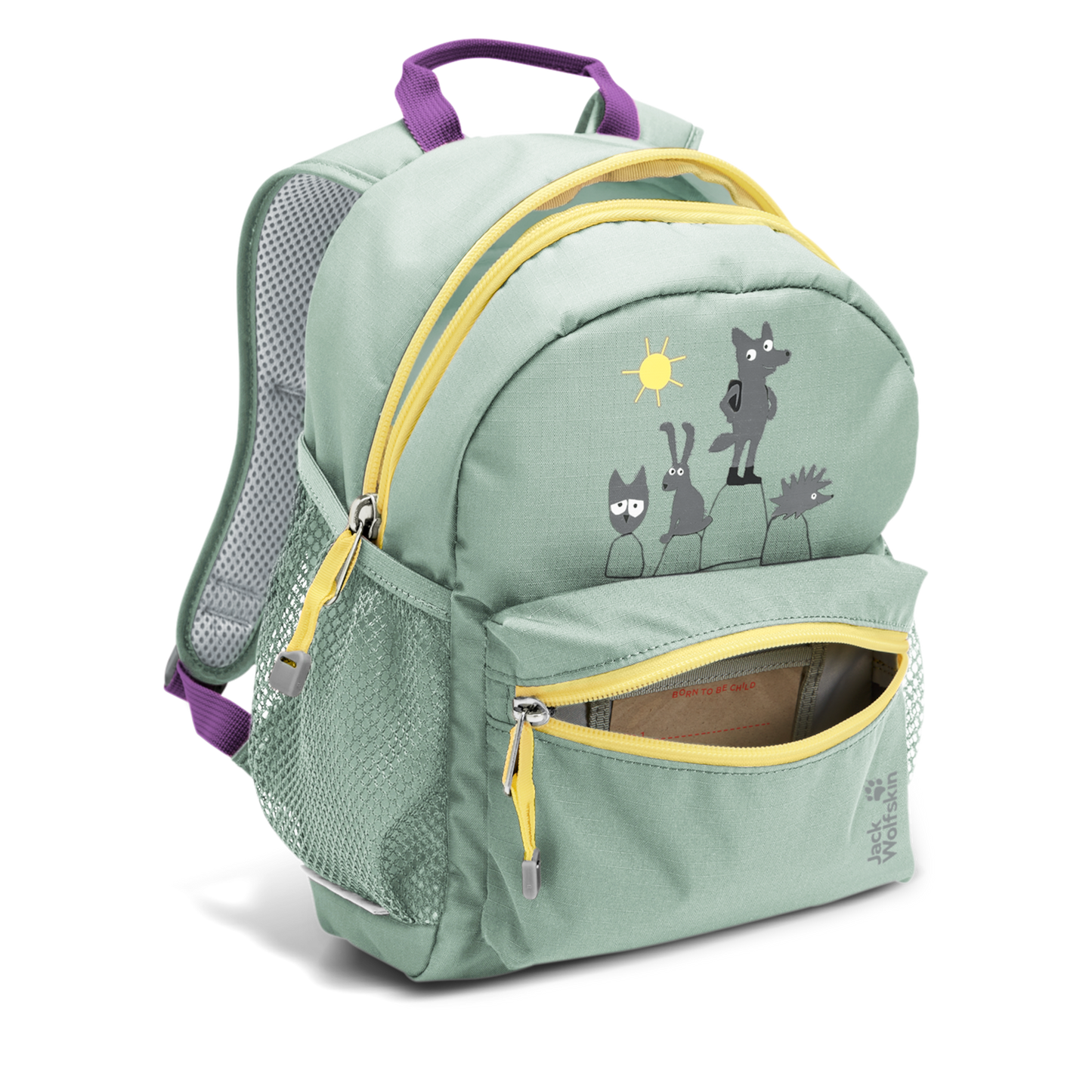 LITTLE SCOUT 10