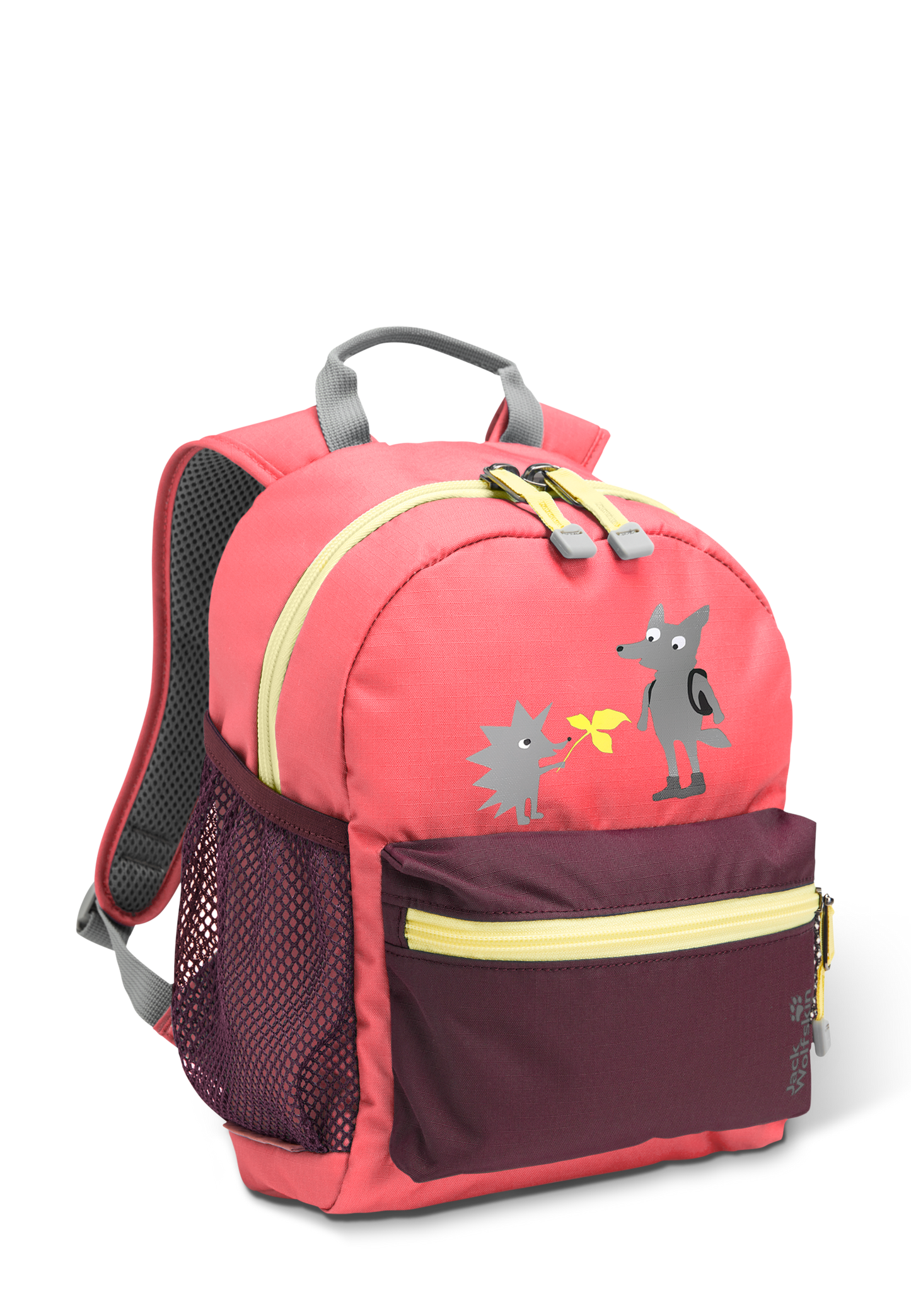 LITTLE SCOUT 10
