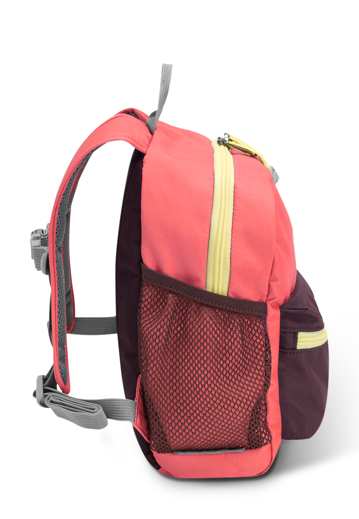 LITTLE SCOUT 10