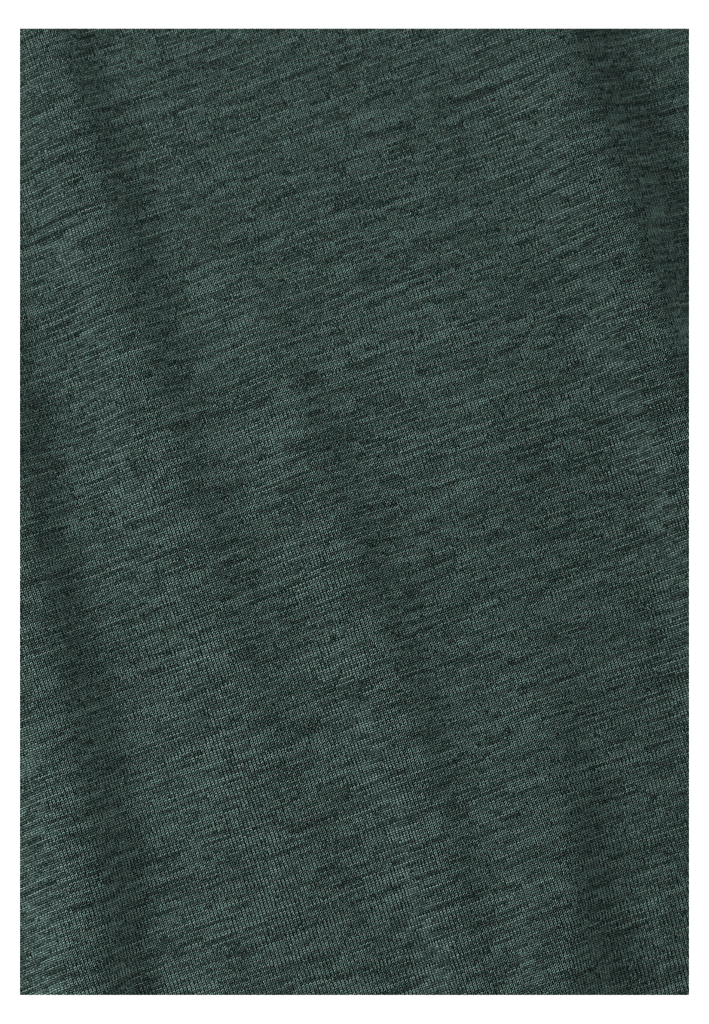 WILDTRAIL T M