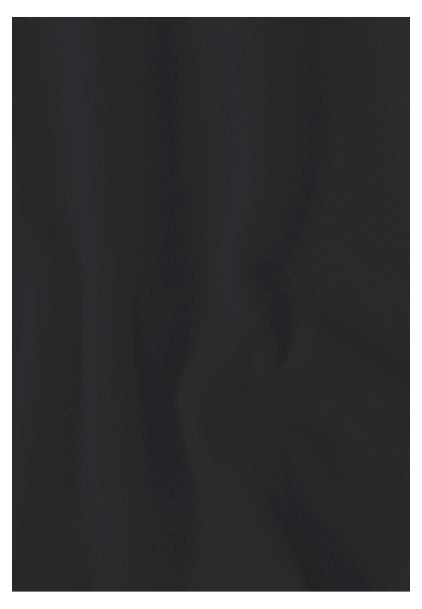LITESTRIDE T W