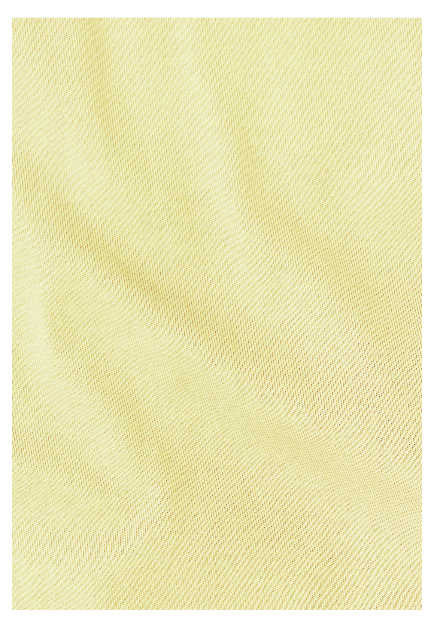 CELEBRATE THE PAW ORIGINAL T M