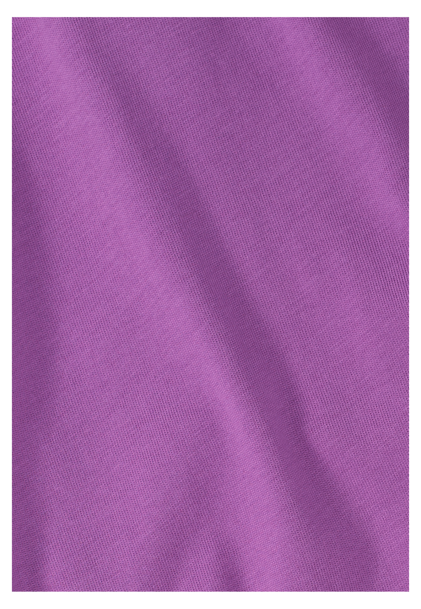 CELEBRATE THE PAW ORIGINAL T W