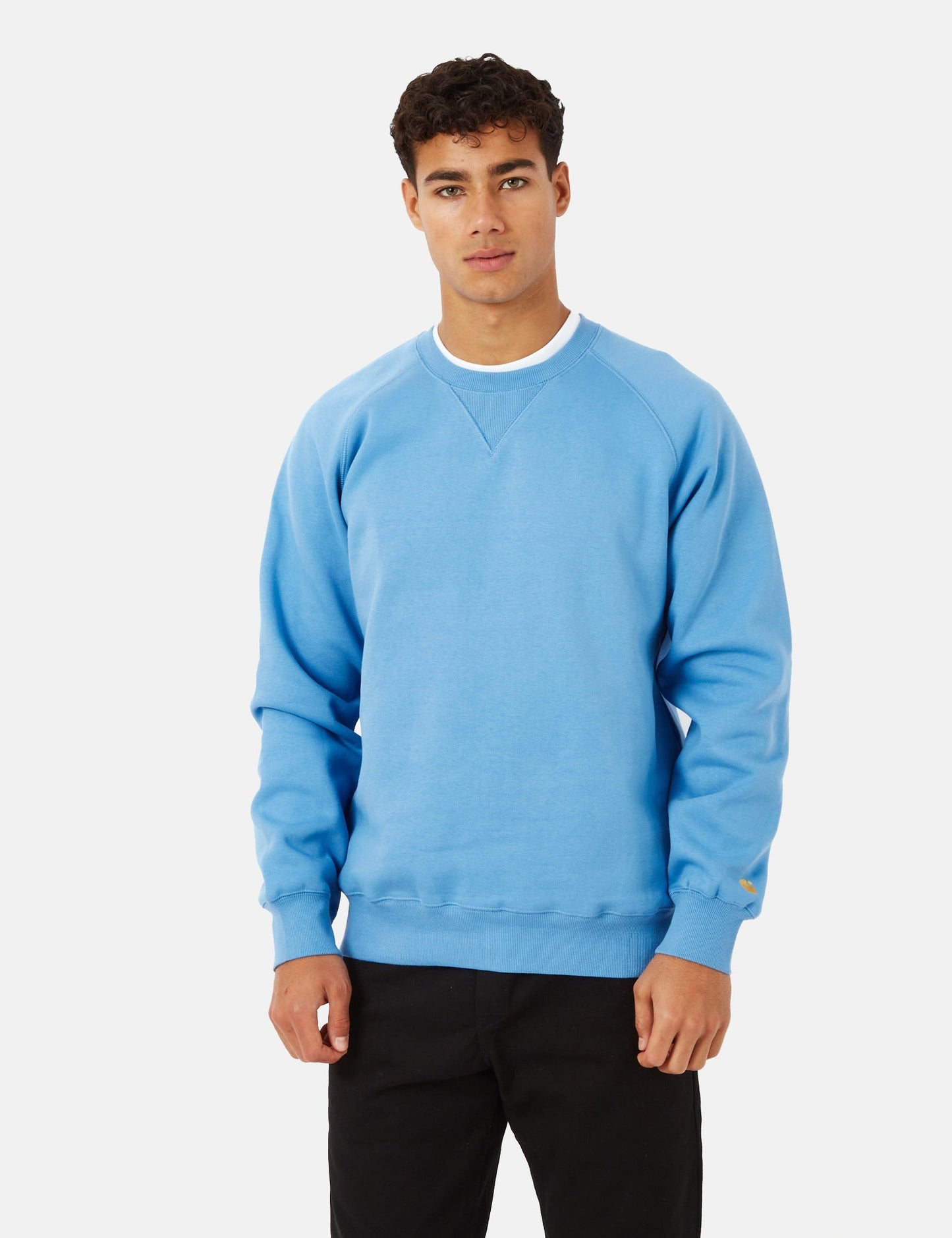 Sweat-shirt Chase - Rose Chardon Brumeux